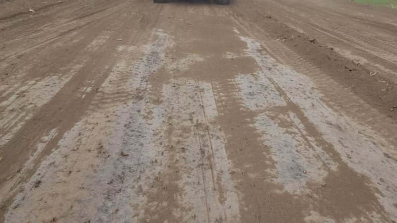 محافظ أسيوط طريق