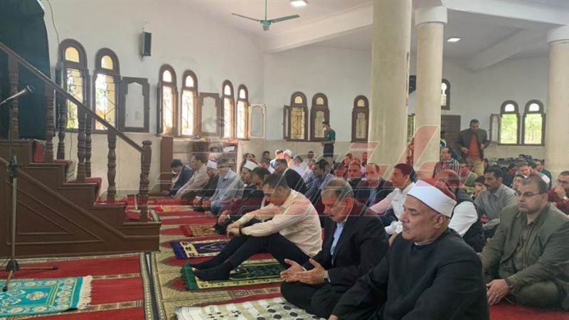 محافظ كفرالشيخ