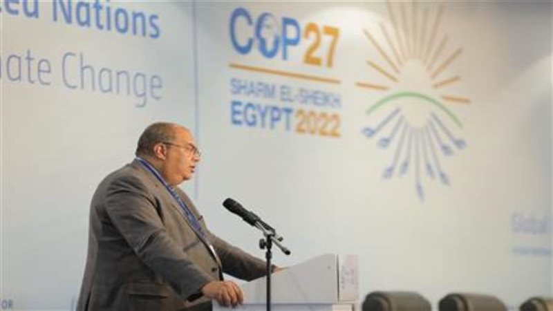 الدكتور محمود محيي