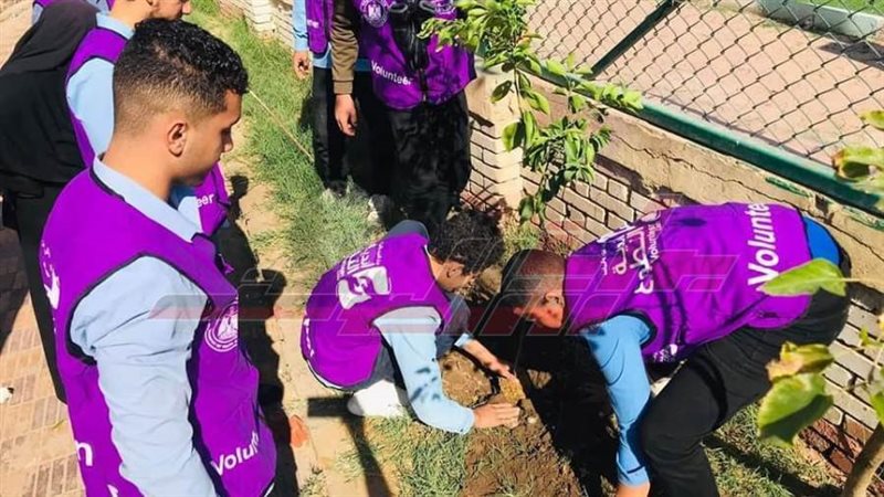 زراعة الأشجار