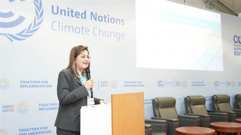 وزيرة التخطيط والتنمية