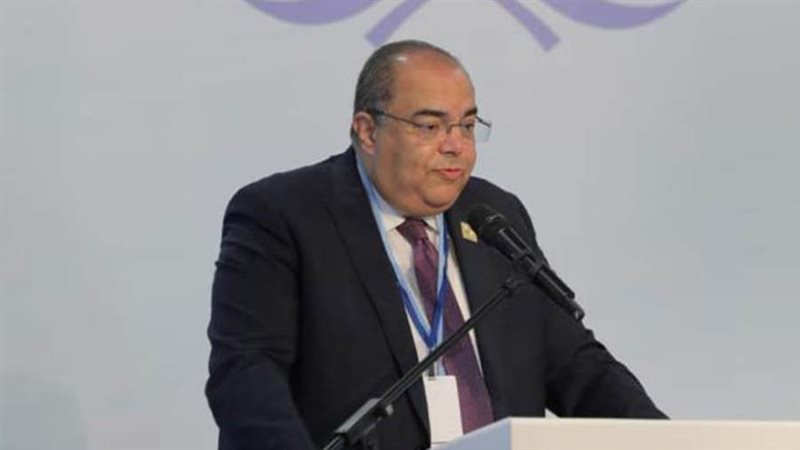 محمود محيي الدين