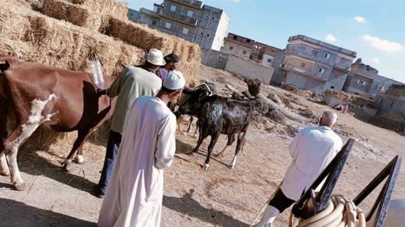 لجان مكبرة لمتابعة