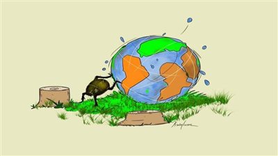 #الريشة_في_مواجهة_التغيرات_المناخية 