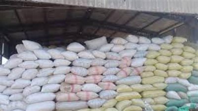 محافظ الغربية: توريد 36 ألفًا و780 طن أرز