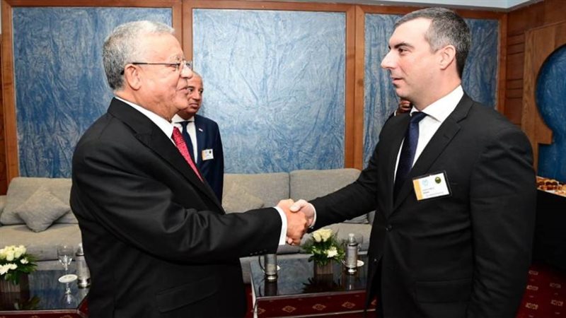 المستشار الدكتور