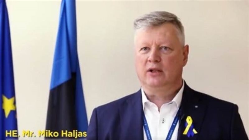 سفير إستونيا