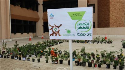 تربية رياضية بالإسكندرية تطلق مبادرة اتحضر للأخضر 