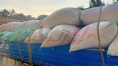 توريد 30896 طنًا و336 كيلو أرز شعير بكفر الشيخ