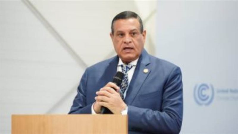 التنمية المحلية