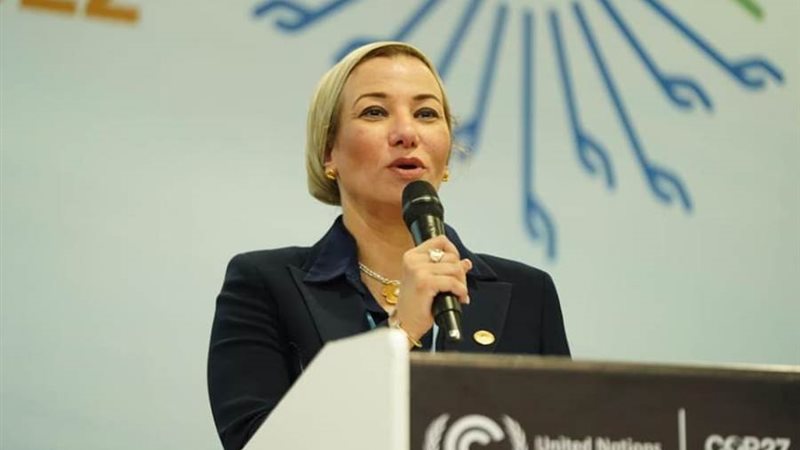 الدكتورة ياسمين فؤاد