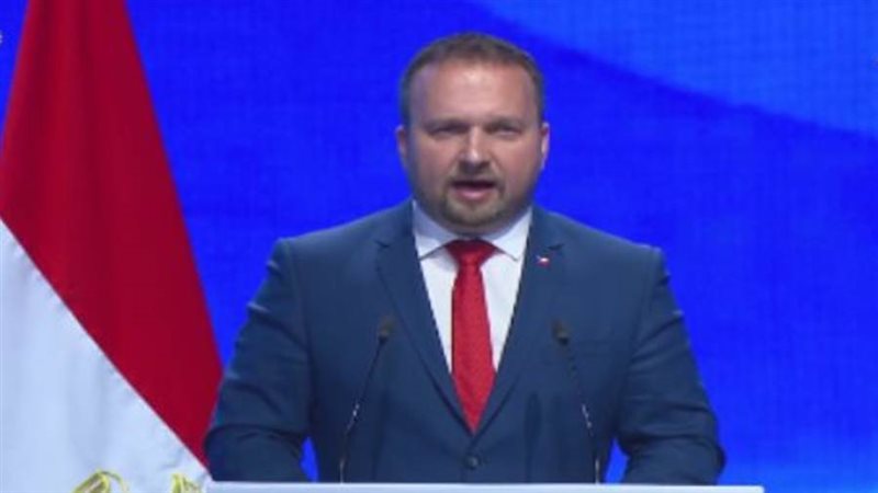 نائب رئيس الوزراء