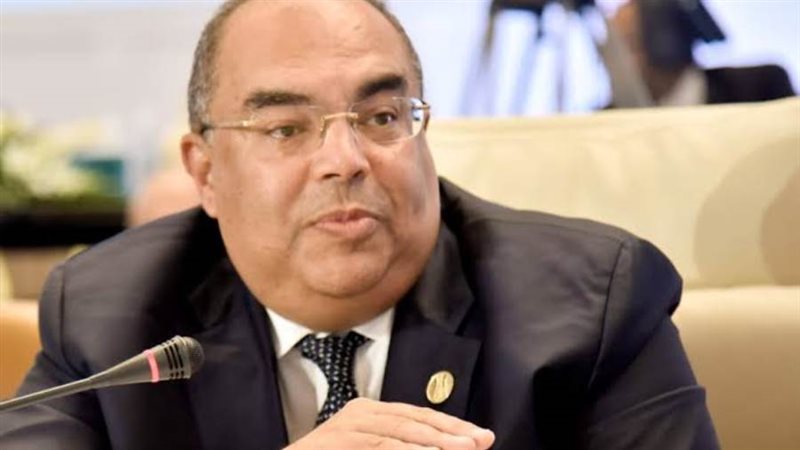 الدكتور محمود محيي