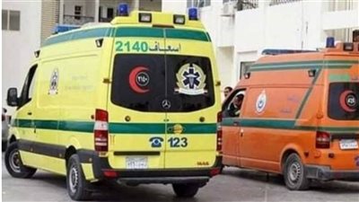 العثور على أم ونجلها مقتولين داخل منزلهما بكفر الشيخ