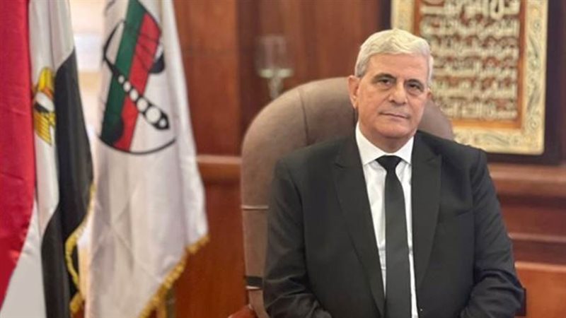 المستشار عدلي جاد