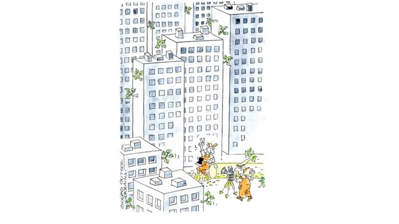 بوابة روز اليوسف