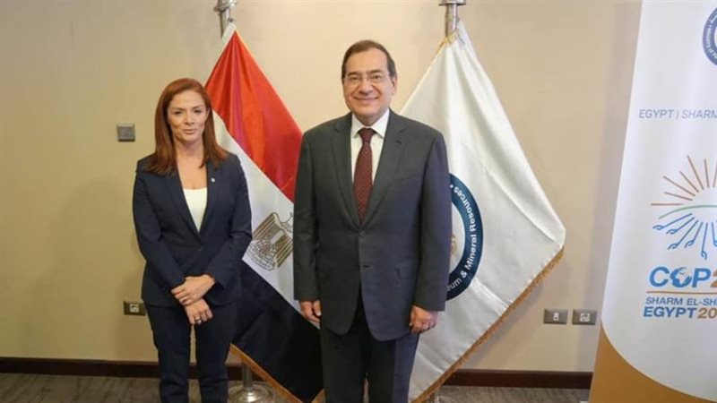 المهندس طارق الملا