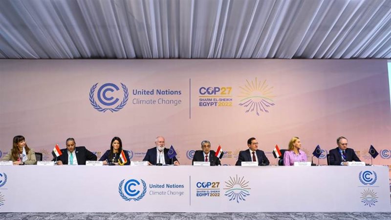 وزيرة التعاون الدولي