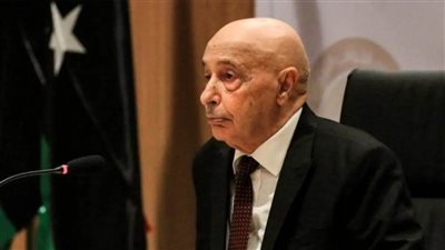 رئيس النواب الليبي والمبعوث الأممي يبحثان سبل الخروج من حالة الانسداد السياسي