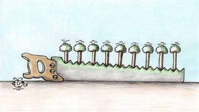 #الريشة_في_مواجهة_التغيرات_المناخية 