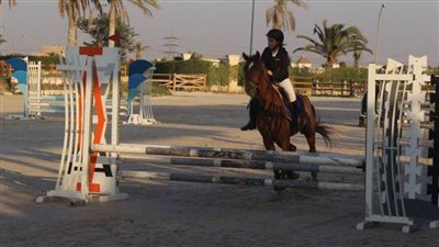 انطلاق منافسات الحلقة الرابعة من بطولة الجمهورية للفروسية 