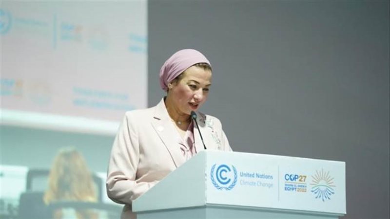 الدكتورة ياسمين فؤاد