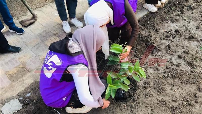 زراعة الأشجار