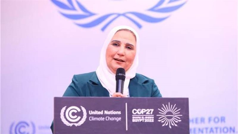 نيفين القباج وزيرة