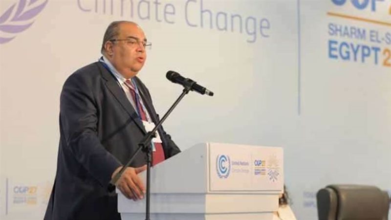 الدكتور محمود محيي