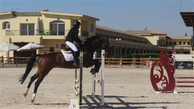 تعرف على منافسات اليوم الثانى من الحلقة الرابعة لبطولة الجمهورية للفروسية