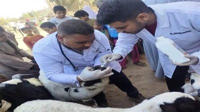 محافظ أسوان.. غدًا انطلاق الحملة القومية لتحصين الثروة الحيوانية بلقاحي الحمى القلاعية والوادي المتصدع