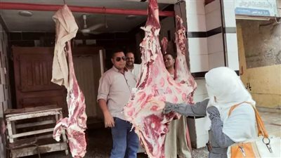 ذبح 1868 ذبيحة بالمجازر الحكومية وتحرير 16 محضر لحوم غير صالحة بالبحيرة 