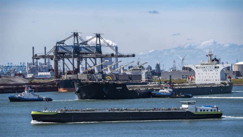 بوابة روز اليوسف