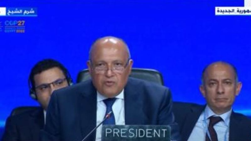 سامح شكري وزير الخارجية