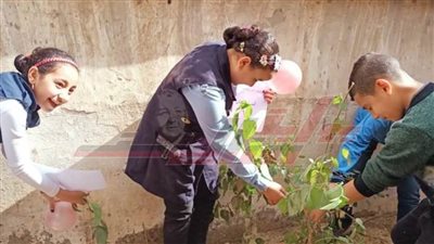 زراعة الأشجار بالمدن والقرى ومراكز الشباب ومدارس كفر الشيخ
