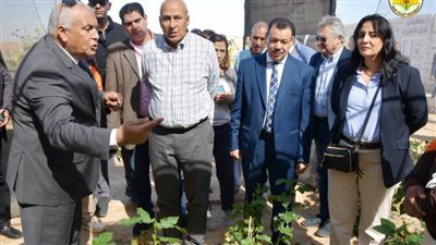 جامعة الوادي الجديد تشارك في المؤتمر التسويقي للسياحة العلاجية والاستشفائية 