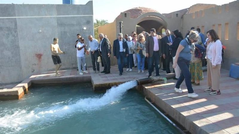 وفد الأطباء الأوروبي