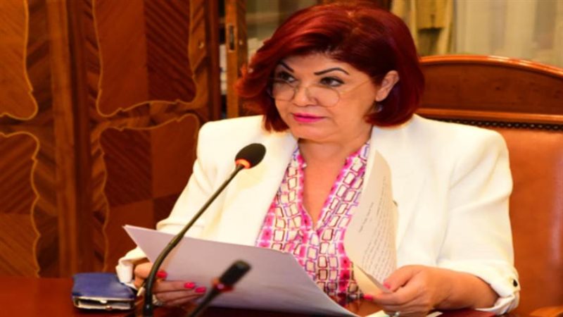 النائبة نورا علي