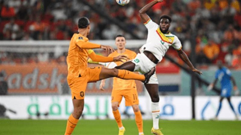 السنغال وهولندا