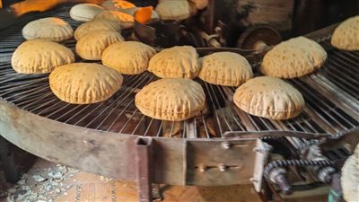 إحالة 80 محضر مخالفات تموينية بالدقهلية للنيابة العامة 