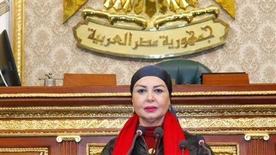 برلمانية تطالب بتشكيل وحدات لمواجهة العنف ضد المرأة بالجامعات المصرية