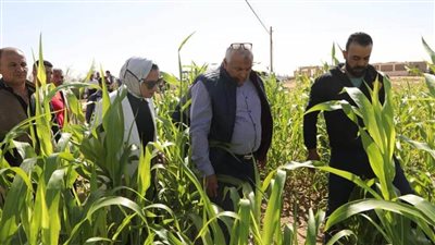 الزملوط يتفقد مشروعات الاستثمار الزراعي بأبو منقار بـ