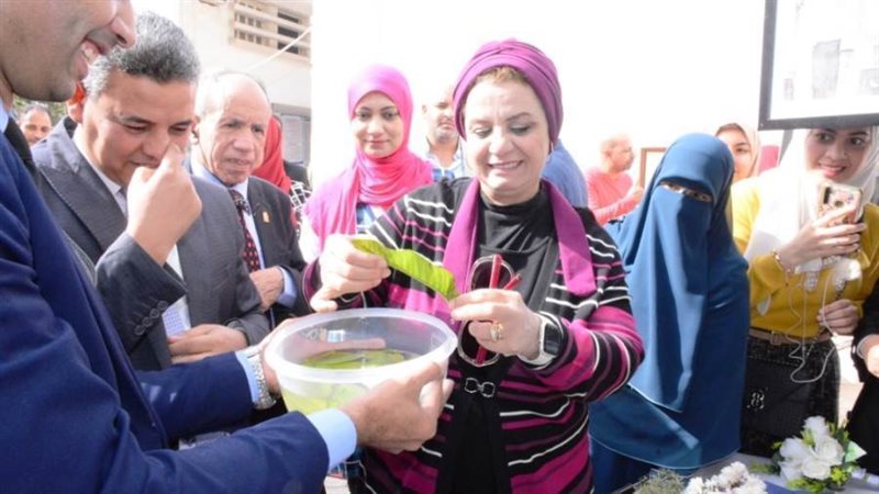 نائب رئيس جامعة أسيوط