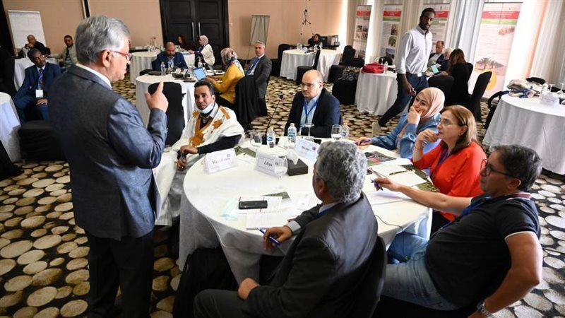 جانب من ورشة العمل