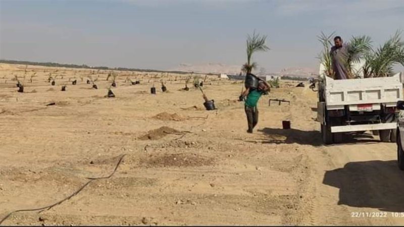 حملة إزالة املاك