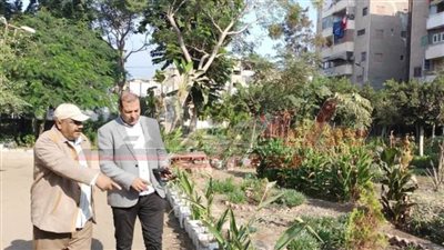 زراعة 1000 شجرة ضمن مبادرة 100 مليون شجرة بكفر الشيخ