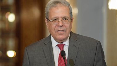وزير الخارجية التونسي يلتقي الممثلة الخاصة للاتحاد الأوروبي لمنطقة الساحل الإفريقي