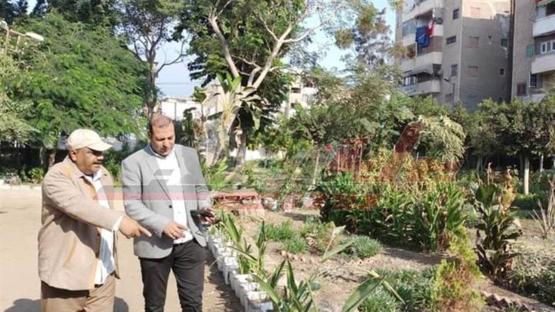 رئيس مدينة دسوق