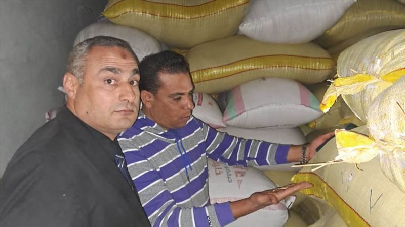 ضبط 100 طن أرز شعير