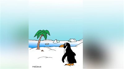 #الريشة_في_مواجهة_التغيرات_المناخية 